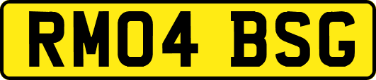 RM04BSG