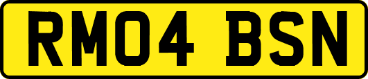 RM04BSN