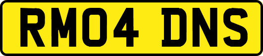 RM04DNS