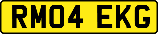RM04EKG