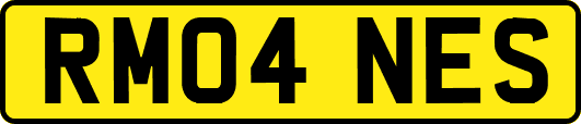 RM04NES