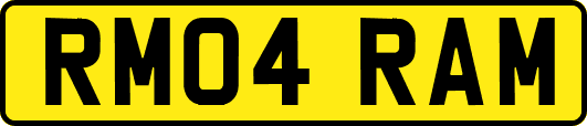 RM04RAM
