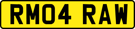 RM04RAW