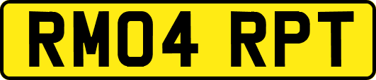 RM04RPT