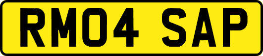 RM04SAP