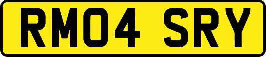 RM04SRY
