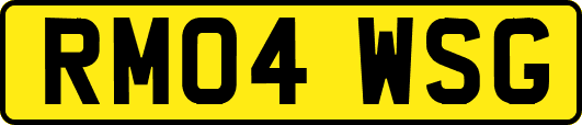RM04WSG