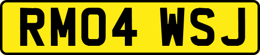 RM04WSJ