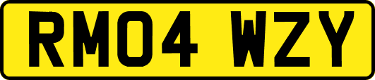 RM04WZY