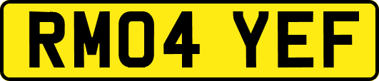 RM04YEF