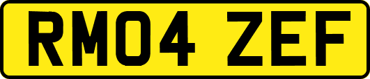 RM04ZEF
