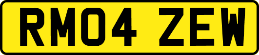 RM04ZEW