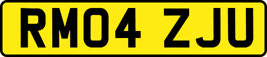 RM04ZJU