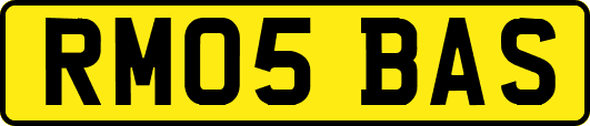 RM05BAS