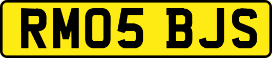 RM05BJS