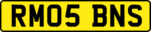 RM05BNS