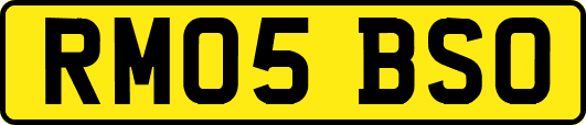 RM05BSO