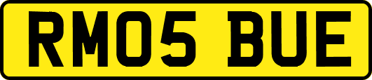 RM05BUE