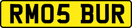 RM05BUR