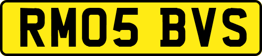 RM05BVS