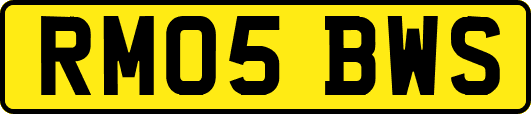 RM05BWS