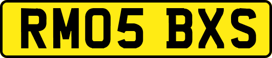 RM05BXS