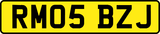 RM05BZJ