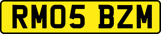 RM05BZM