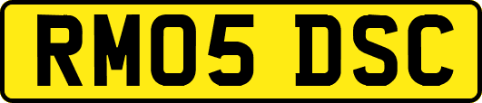 RM05DSC