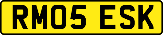 RM05ESK