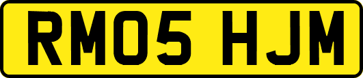 RM05HJM