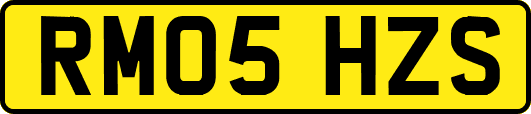 RM05HZS