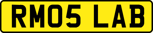 RM05LAB