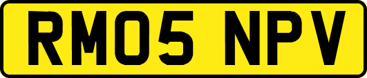 RM05NPV