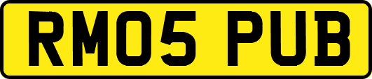 RM05PUB