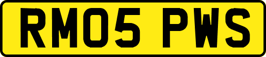 RM05PWS