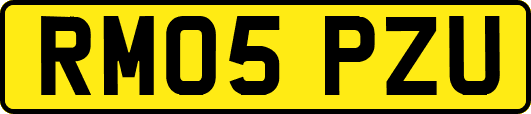 RM05PZU