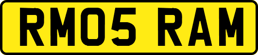RM05RAM