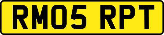 RM05RPT