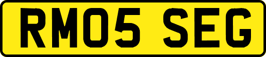 RM05SEG
