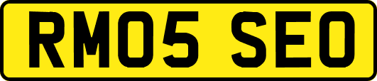 RM05SEO