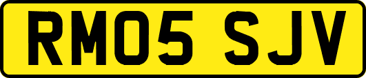 RM05SJV