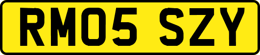 RM05SZY