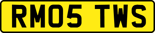 RM05TWS