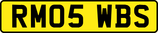 RM05WBS