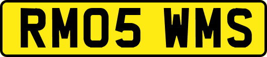 RM05WMS