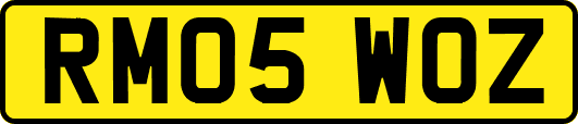 RM05WOZ