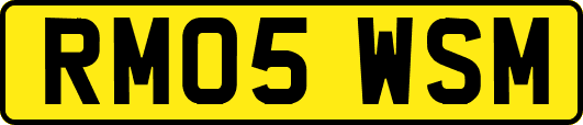 RM05WSM