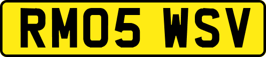 RM05WSV