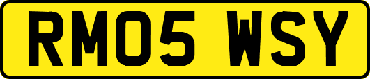 RM05WSY